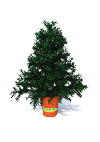 Help us decorate our virtual Christmas Tree